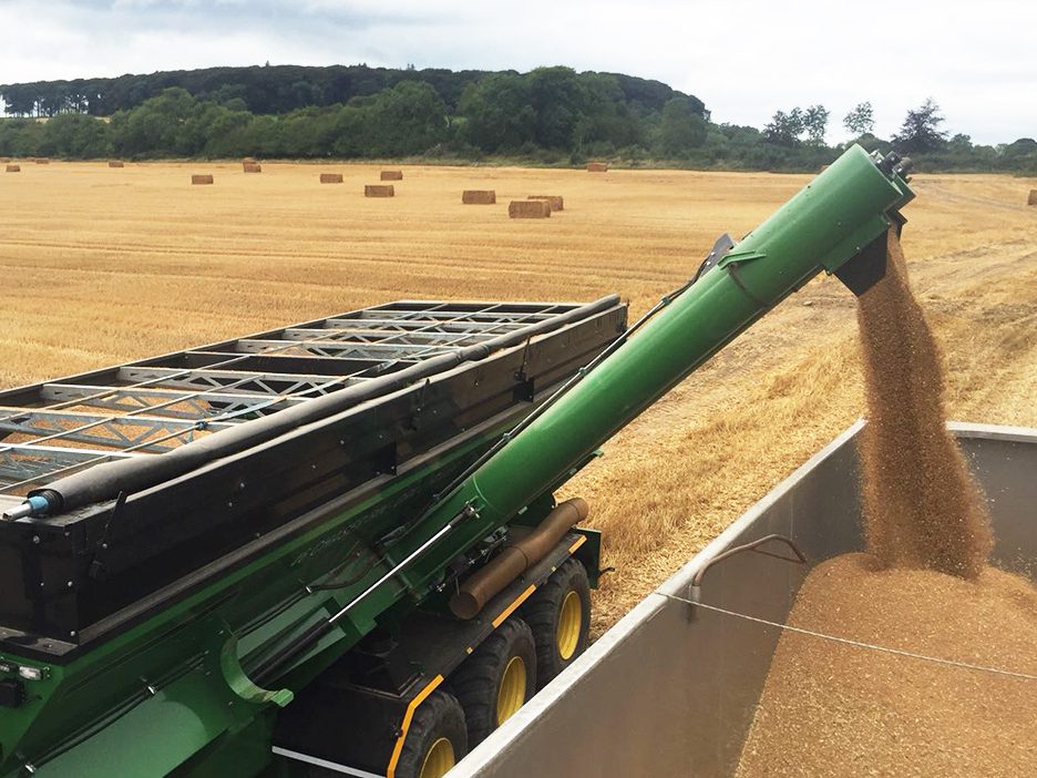 A grain harvest to remember – August 2018